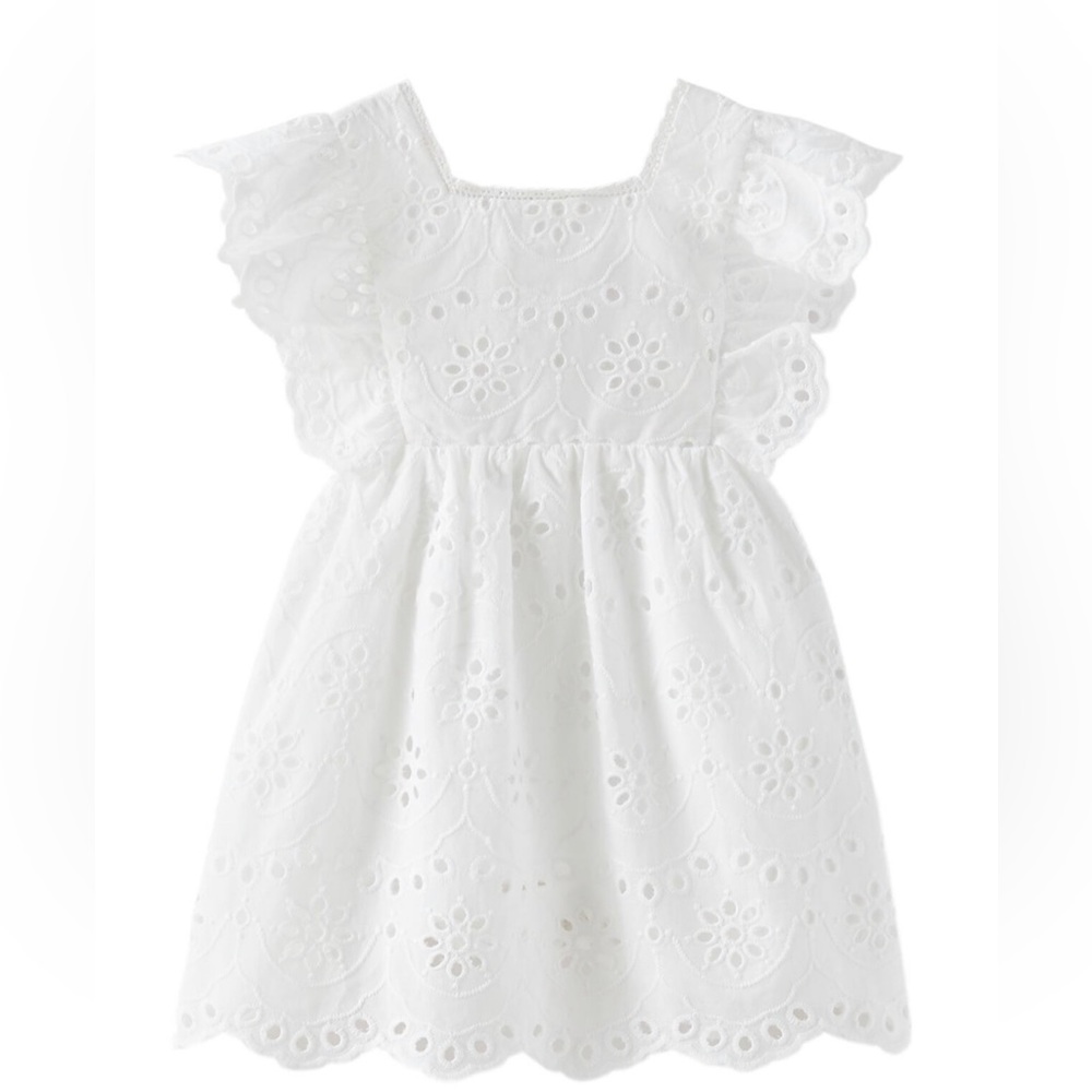 Zara Lace Embroidered Dress